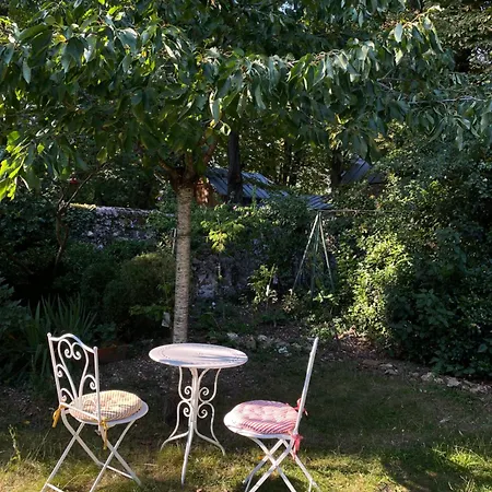 Bed & Breakfast Maison Des Marronniers
