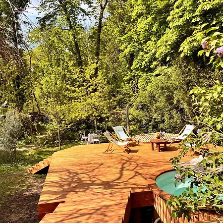 Maison Des Marronniers Bed & Breakfast