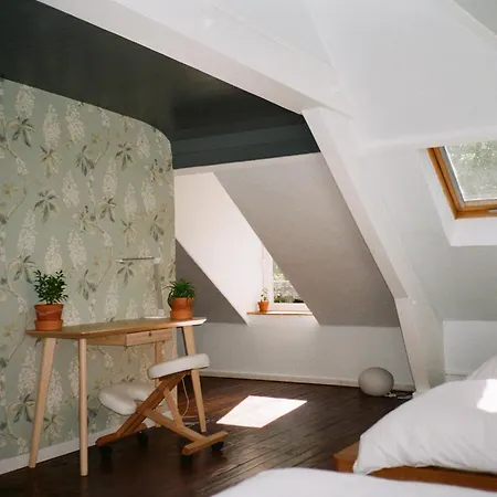 Maison Des Marronniers Bed & Breakfast Ris-Orangis
