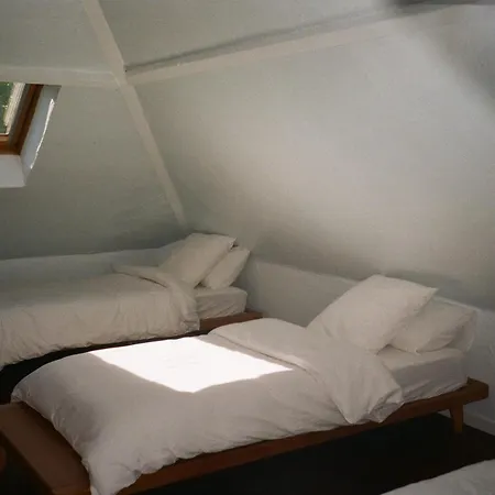 Maison Des Marronniers Bed & Breakfast