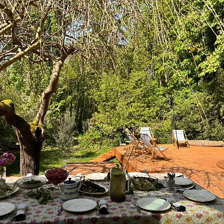Maison Des Marronniers Bed & Breakfast *
